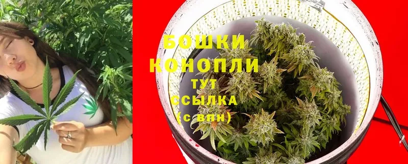 Марихуана White Widow  Валдай 